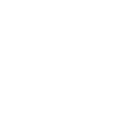 Expense icon